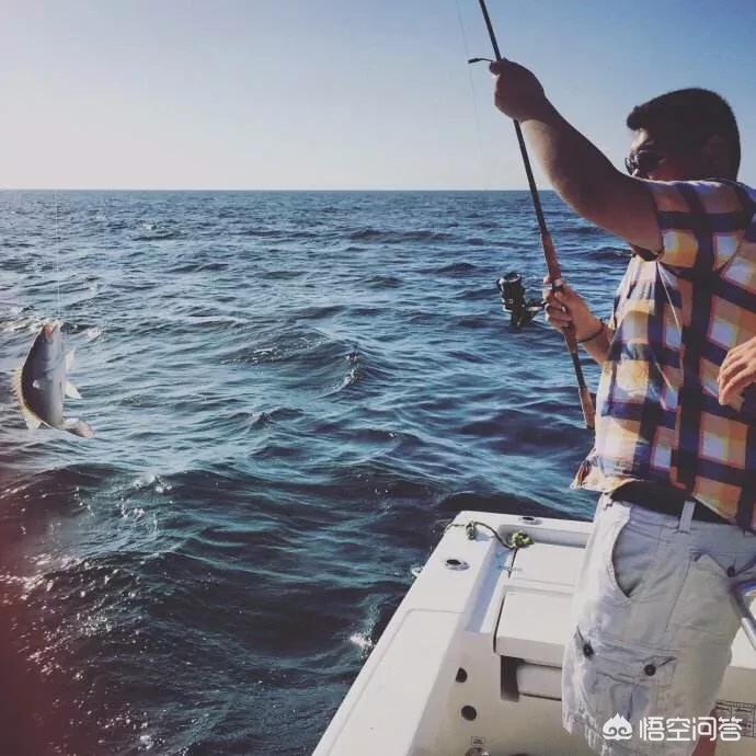 钓鱼是一场修行！这些渔具让你在水边找到内心的平静