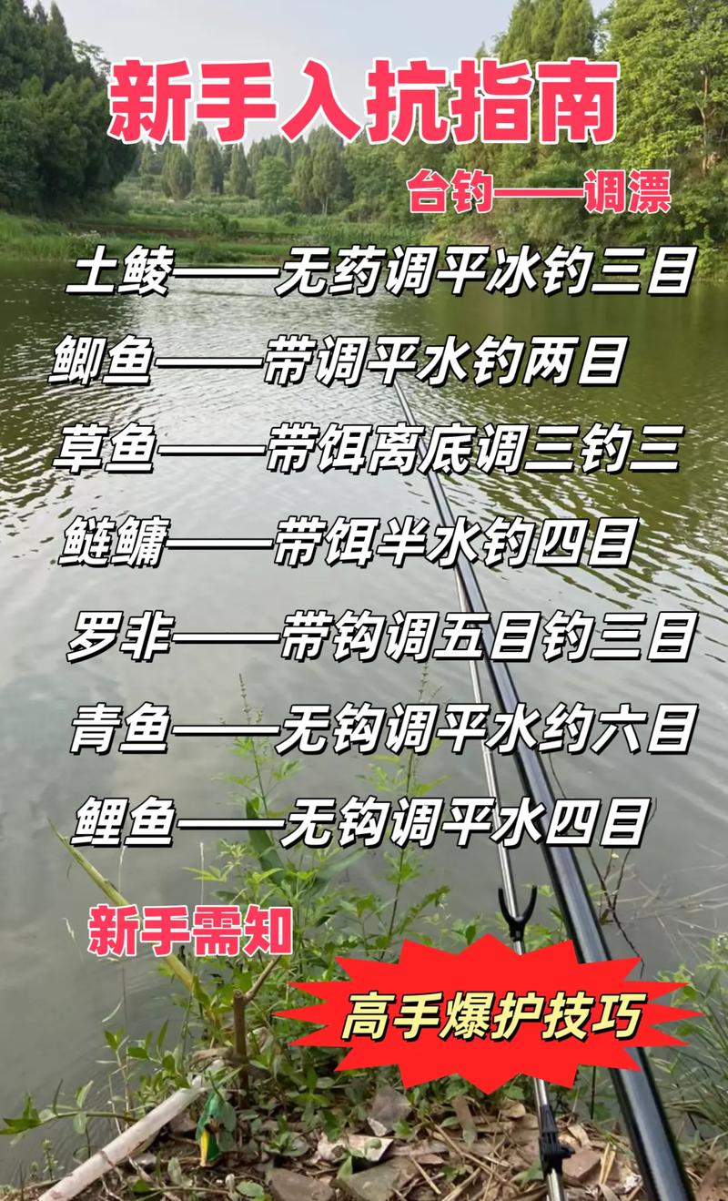 钓鱼摄影技巧：手机拍出大片感，朋友圈点赞破万