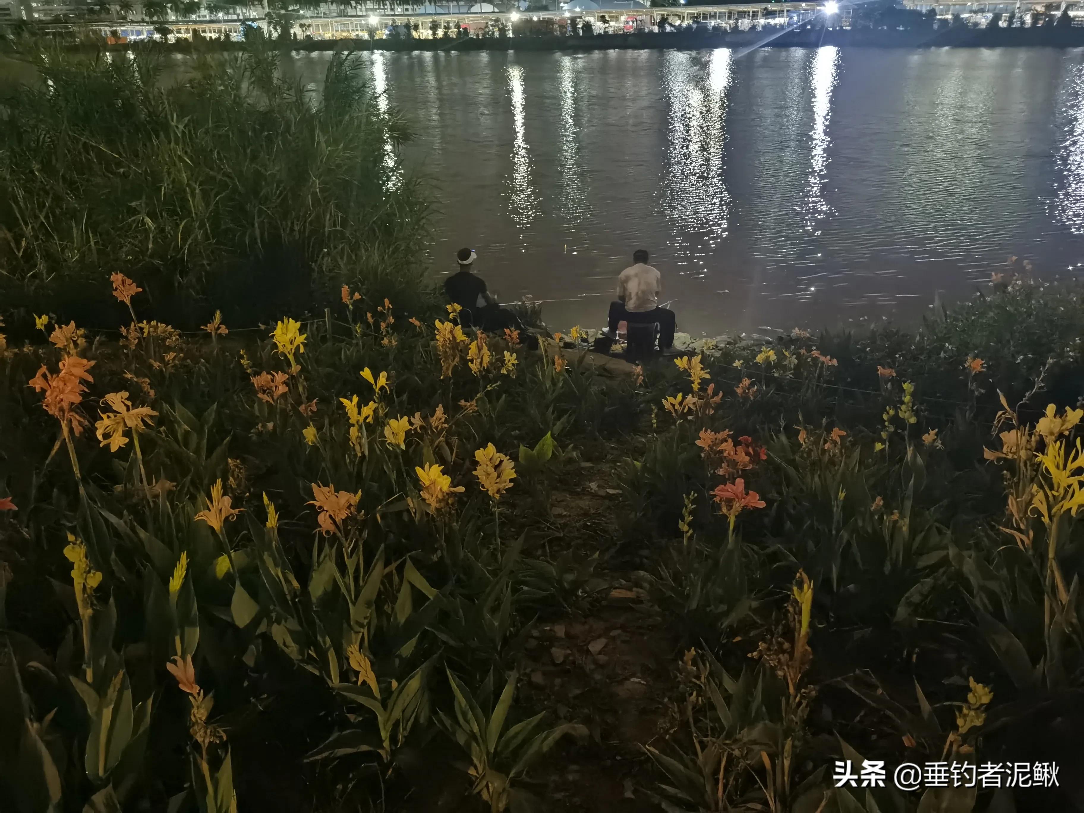 钓鱼竞技化:职业钓手年薪百万,业余爱好者何去何从? 钓鱼竞技化:职业钓手年薪百万,业余爱好者何去何从?