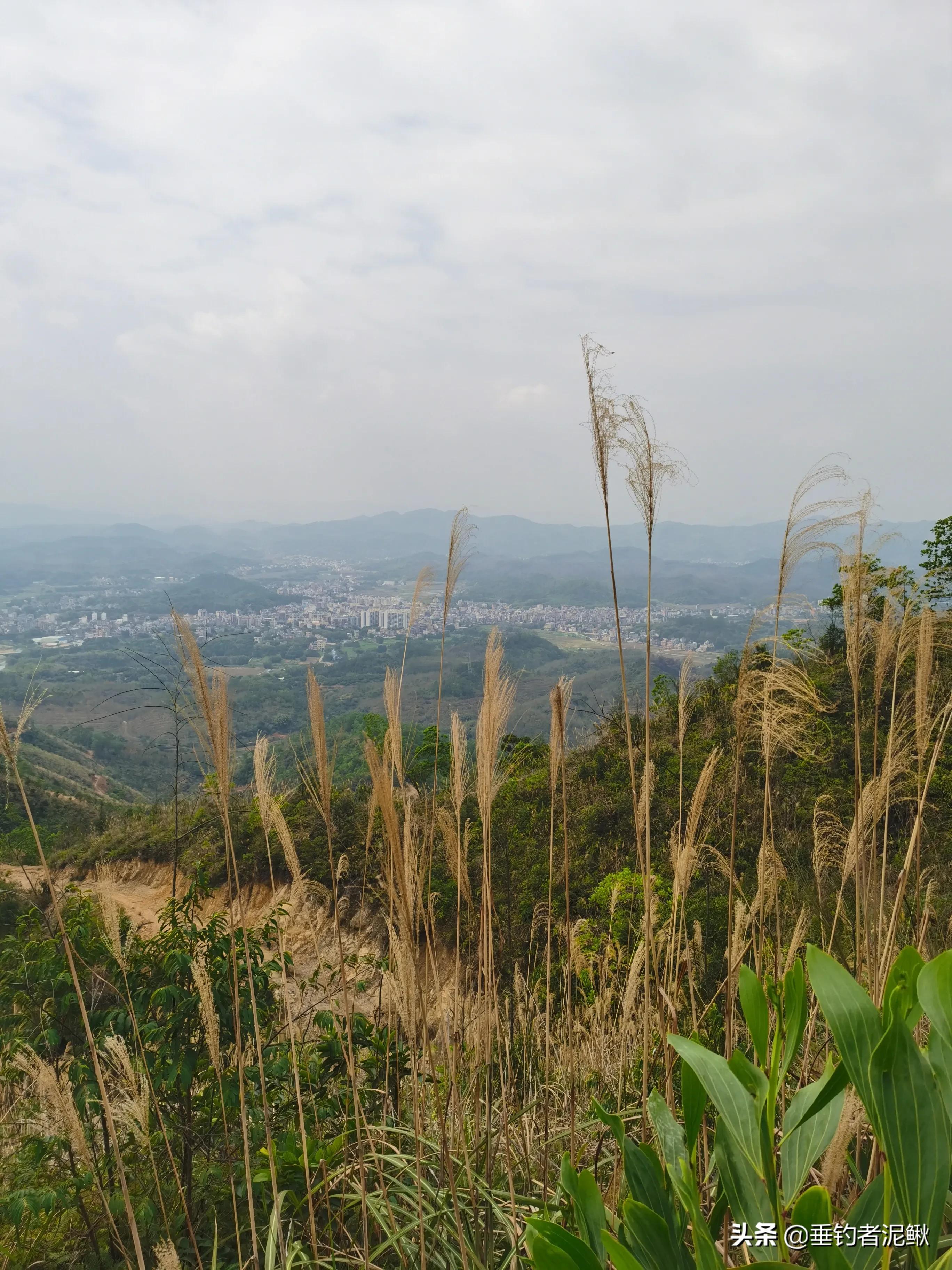 钓鱼竞技化:职业钓手年薪百万,业余爱好者何去何从? 钓鱼竞技化:职业钓手年薪百万,业余爱好者何去何从?