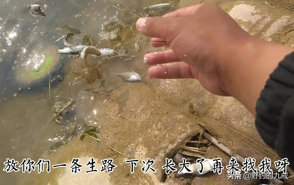 钓鱼竞技化:职业钓手年薪百万,业余爱好者何去何从? 钓鱼竞技化:职业钓手年薪百万,业余爱好者何去何从?