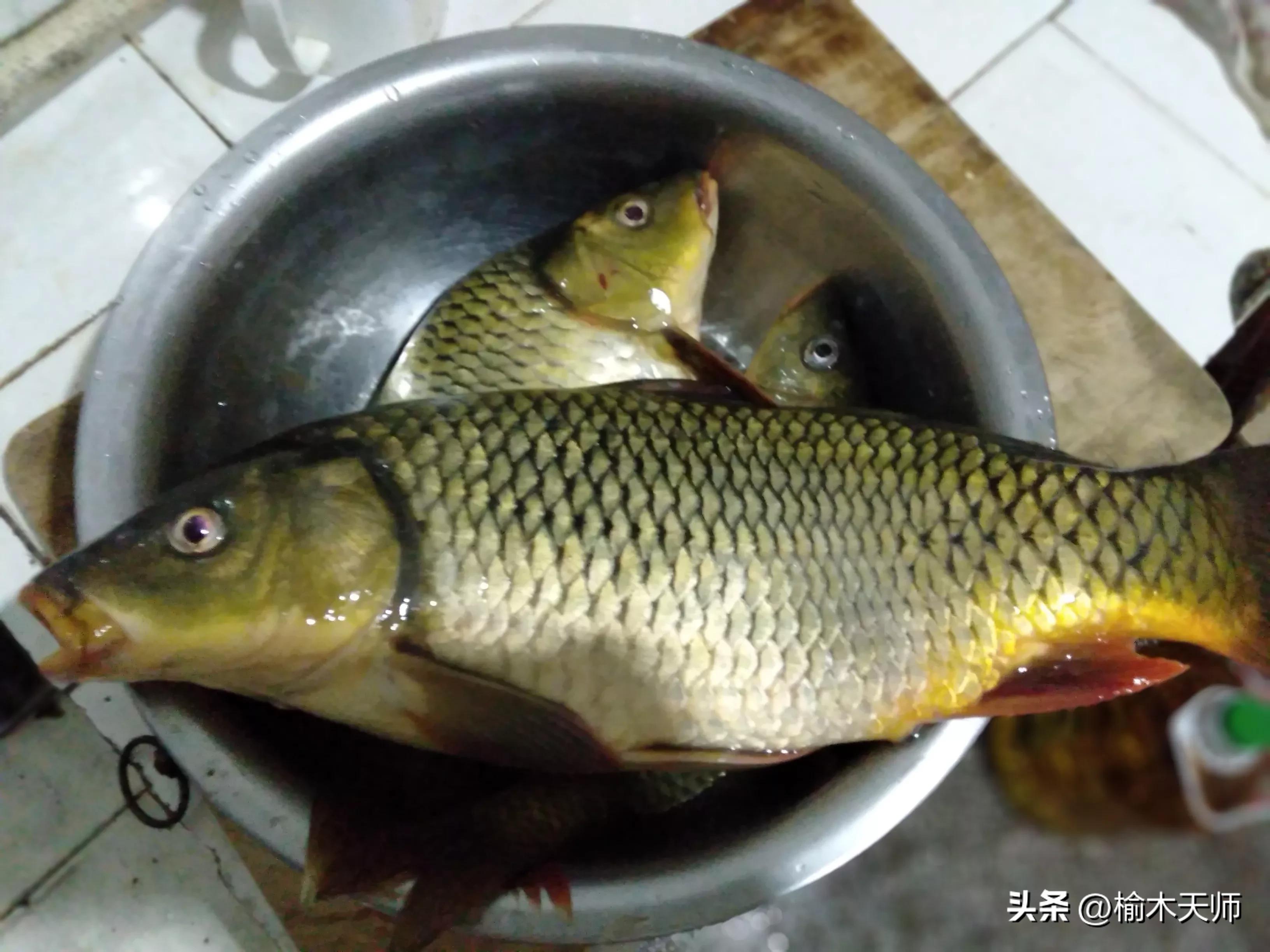 研究证实:钓鱼提升幸福感,压力激素下降 70% 研究证实:钓鱼提升幸福感,压力激素下降 70%
