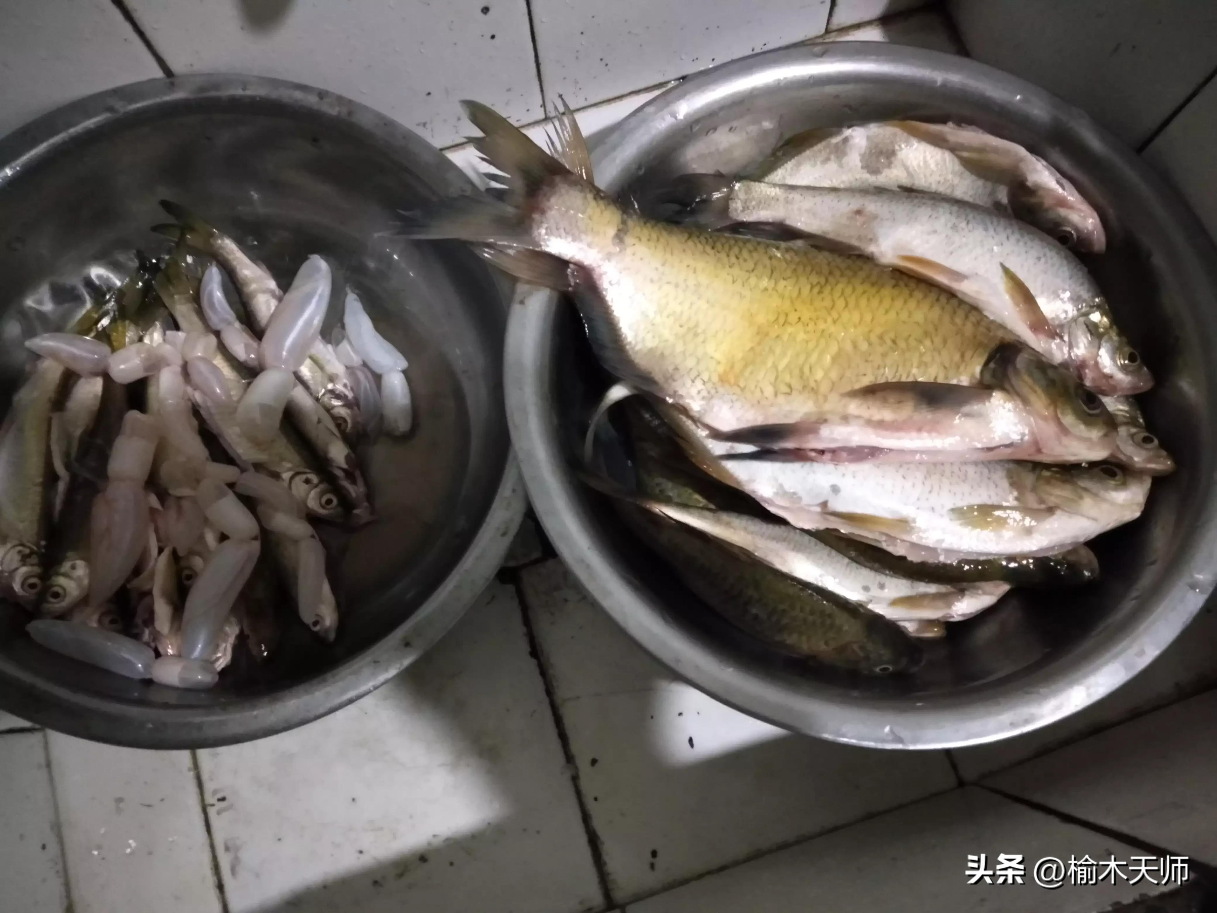研究证实:钓鱼提升幸福感,压力激素下降 70% 研究证实:钓鱼提升幸福感,压力激素下降 70%
