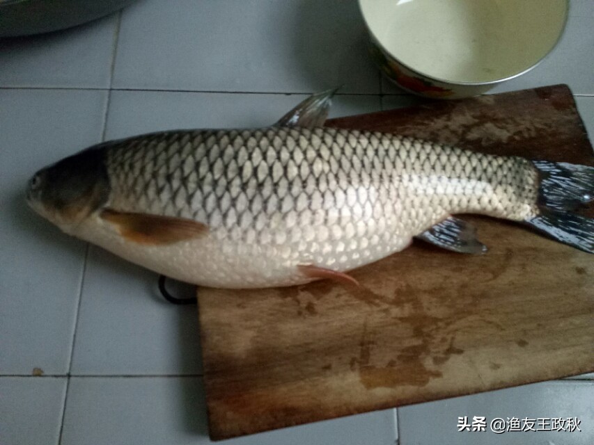 钓鱼终极挑战:钓遍中国所有水域,钓友:退休后目标 钓鱼终极挑战:钓遍中国所有水域,钓友:退休后目标