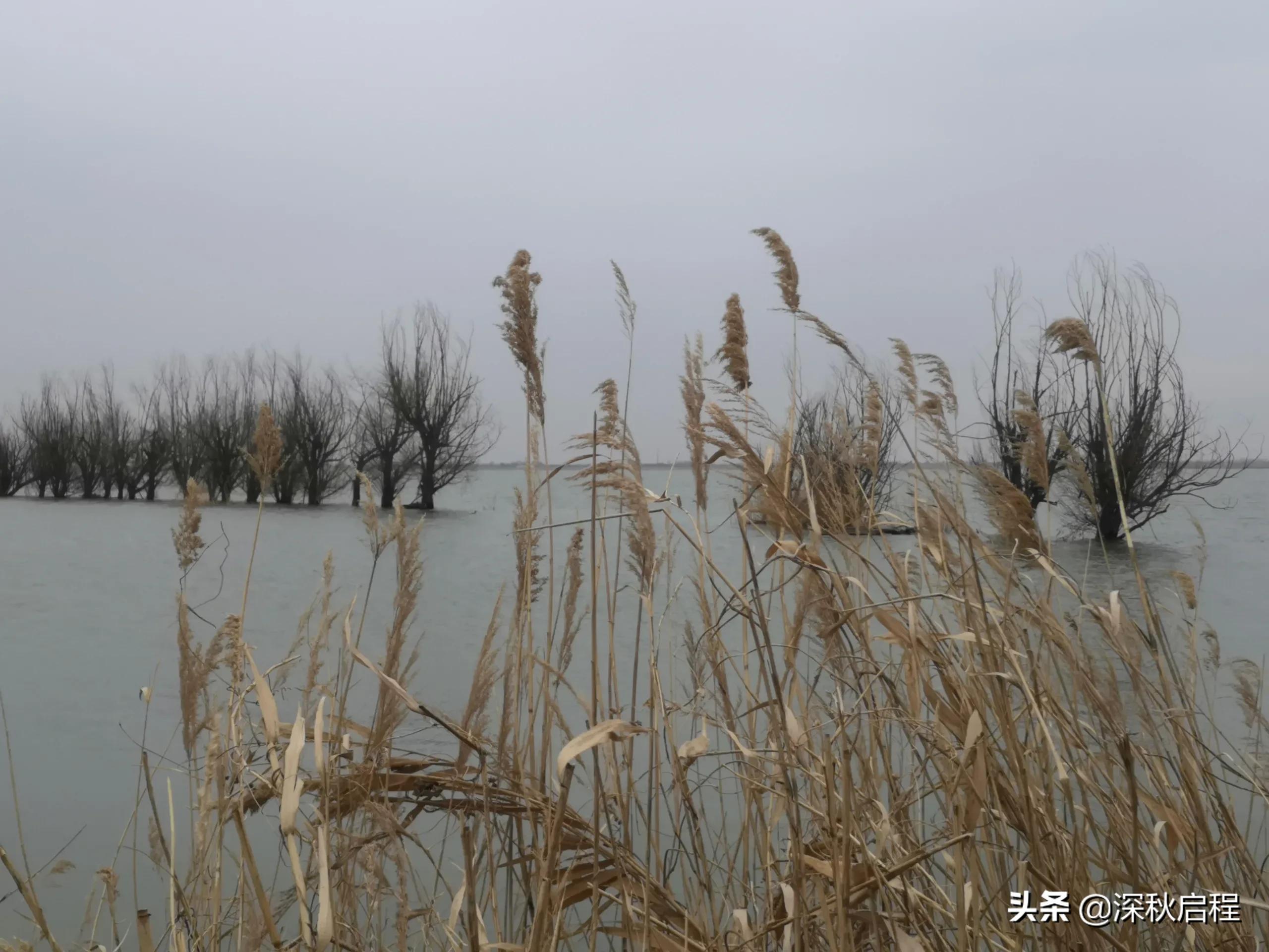钓鱼直播伦理:为流量伪造渔获,诚信何在? 钓鱼直播伦理:为流量伪造渔获,诚信何在?