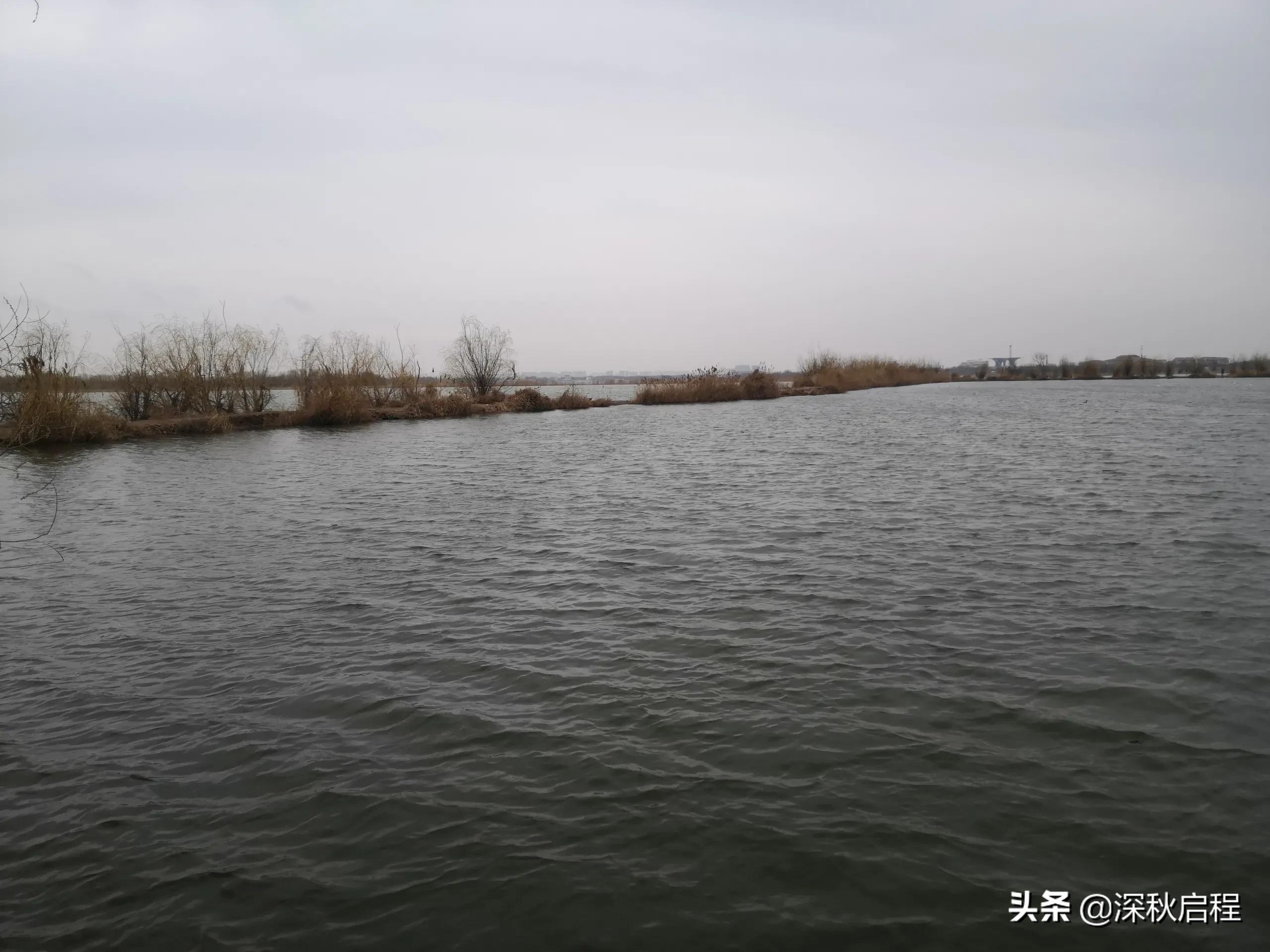 钓鱼直播伦理:为流量伪造渔获,诚信何在? 钓鱼直播伦理:为流量伪造渔获,诚信何在?