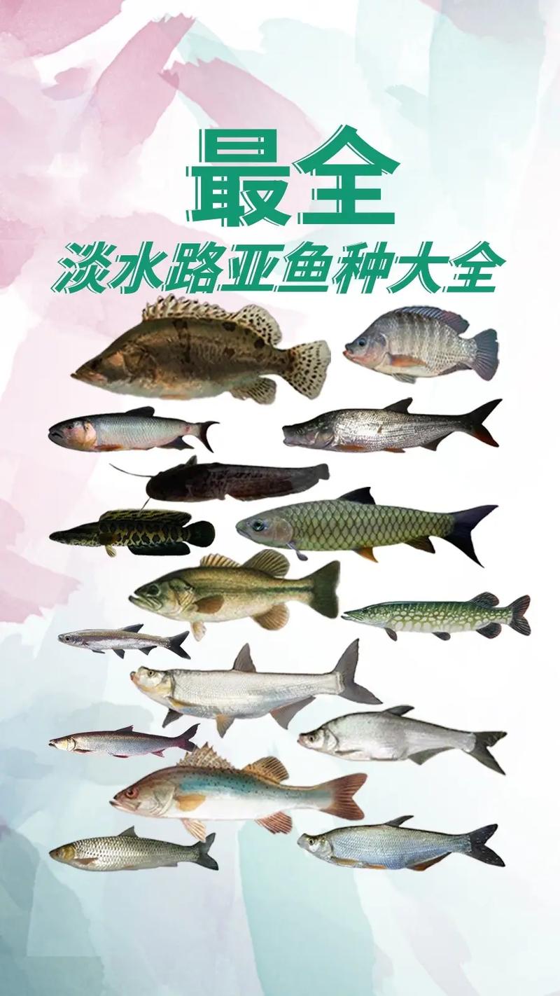 上饶信江河野钓攻略!钓位推荐 + 鱼种解析,本地钓友必看