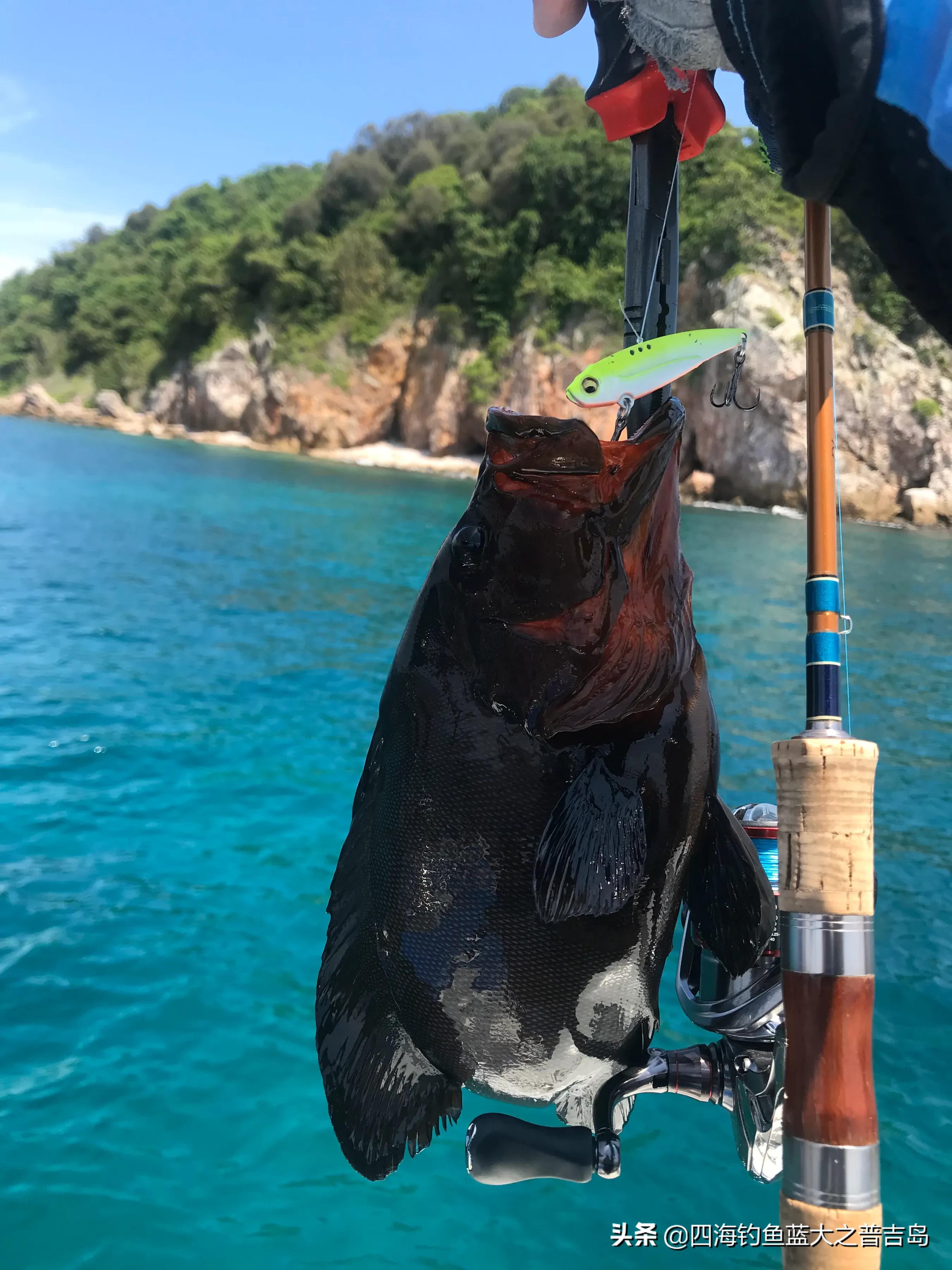上饶信江河野钓攻略!钓位推荐 + 鱼种解析,本地钓友必看 上饶信江河野钓攻略!钓位推荐 + 鱼种解析,本地钓友必看