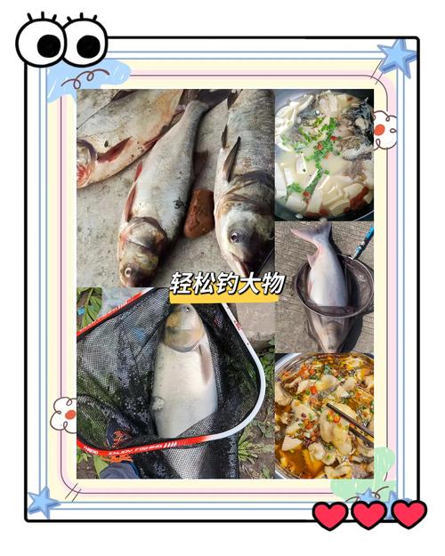 钓鱼破坏生态?科学家:过度捕捞导致水质恶化,鲢鳙成关键