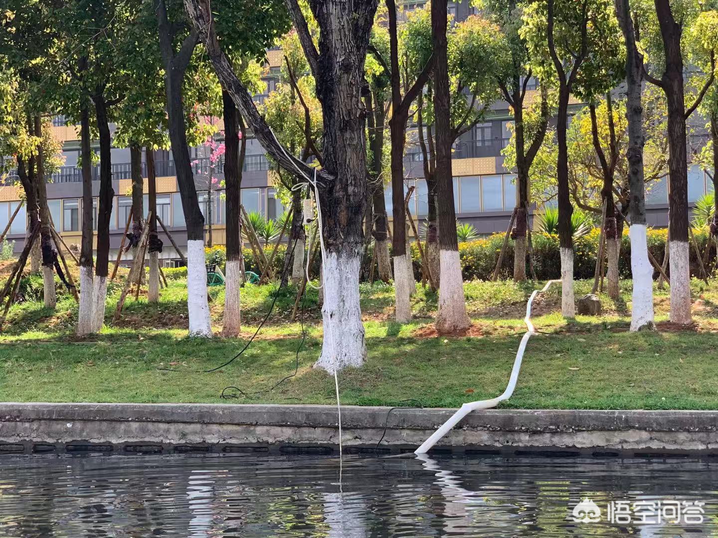 (突出智能黑科技,解决传统垂钓盲区痛点) (突出智能黑科技,解决传统垂钓盲区痛点)