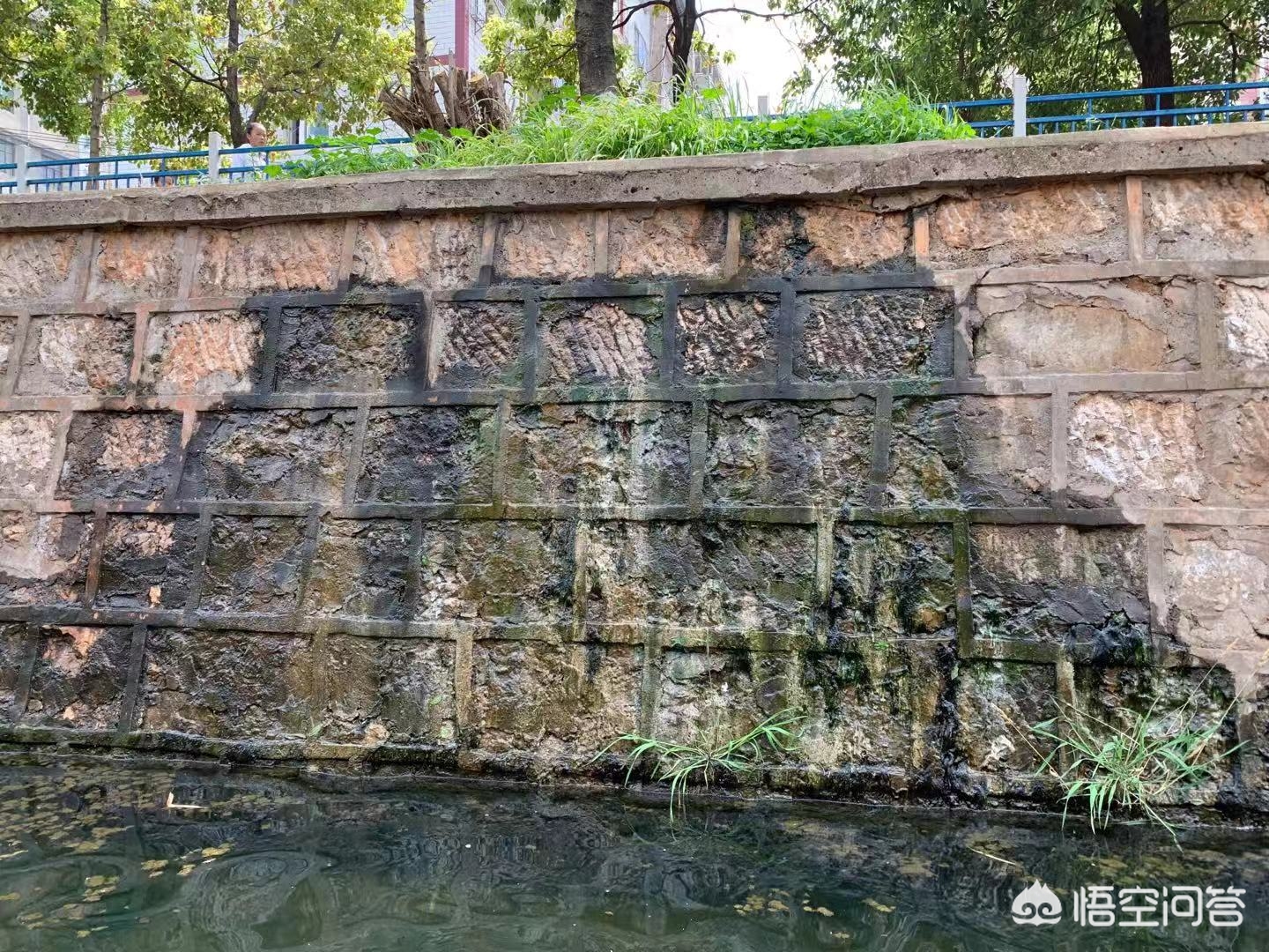 (突出智能黑科技,解决传统垂钓盲区痛点) (突出智能黑科技,解决传统垂钓盲区痛点)