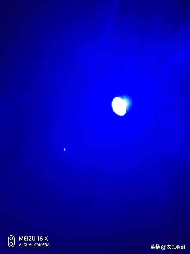 夜钓安全指南:防蛇虫 + 急救包,野外生存必备 夜钓安全指南:防蛇虫 + 急救包,野外生存必备