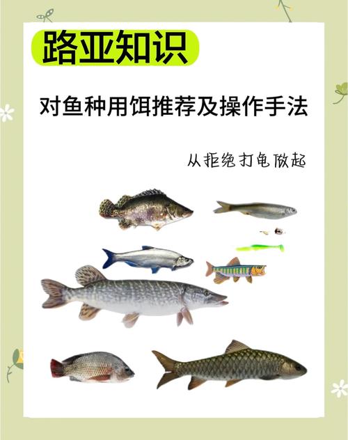 智能饵料配方:AI 算法推荐,专攻目标鱼种